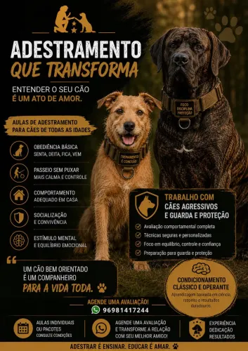 ADESTRAMENTO DE CÃES