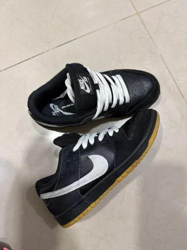Nike dunk low pro 