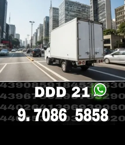 Frete Del Castilho Mudanças e Transportes