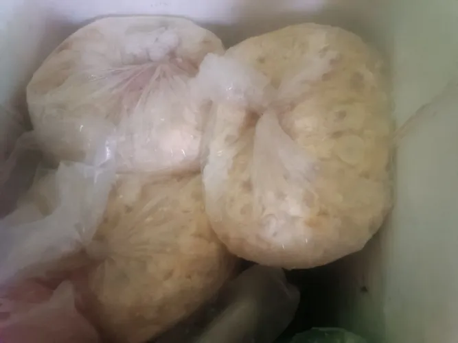Poupa de cupuaçu com caroço 