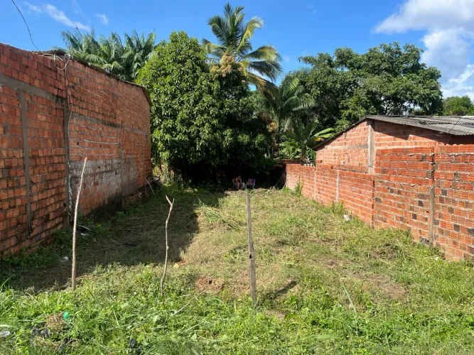 Terreno raposa  