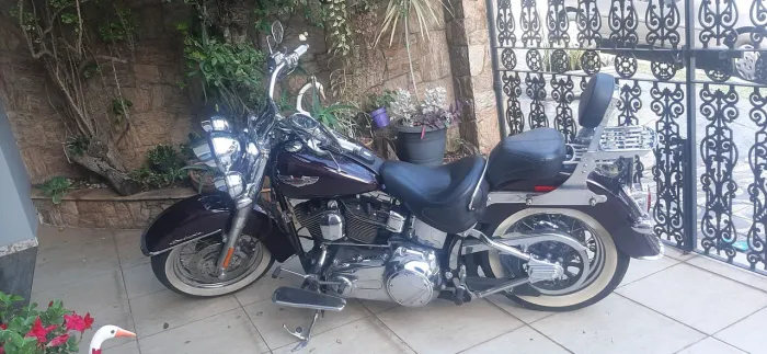 Harley Davidson Softail Deluxe