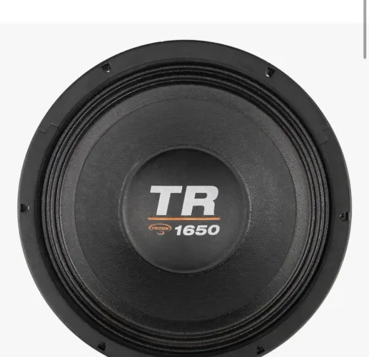 Alto falante Triton 1650 de 12 polegadas