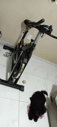 Bicicleta ergométrica