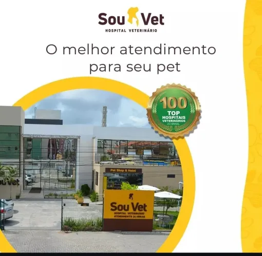 Banho e Tosa