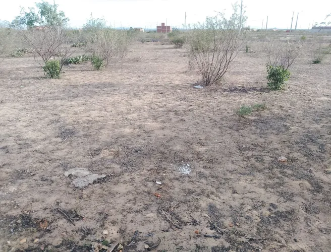 Terreno Quitado - Nova Petrolina