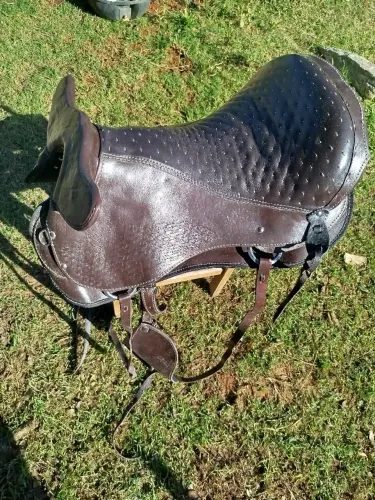 Sela de cabeça Austráliana