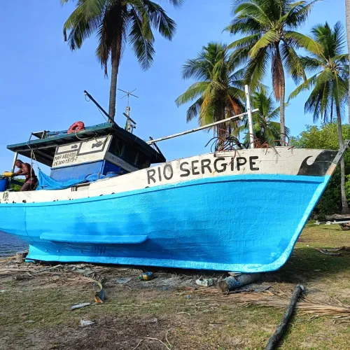 Barcos de pesca