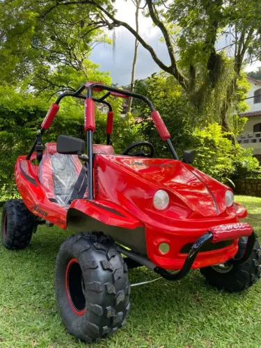 Mini Buggy ZERO KM