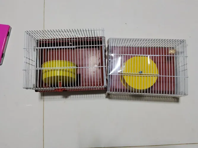 Gaiola para hamster 