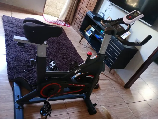 Bicicleta ergométrica Odin Pace 3000