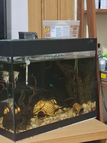 Aquário 50 L