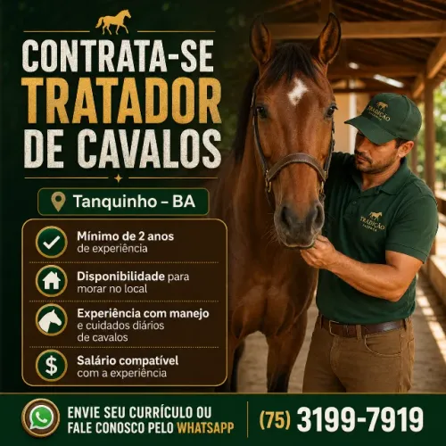 TRATADOR DE CAVALOS - TANQUINHO, BA