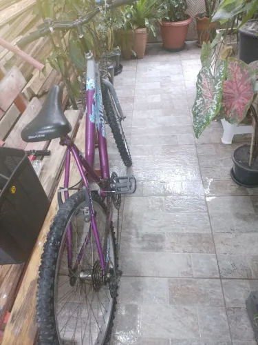 Bicicleta