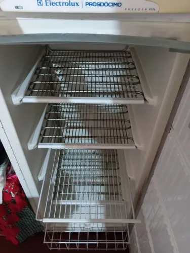 Freezer Electrolux 