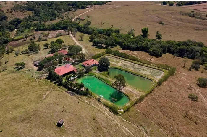Fazenda Alecrim : Charme e Elegância à Venda!