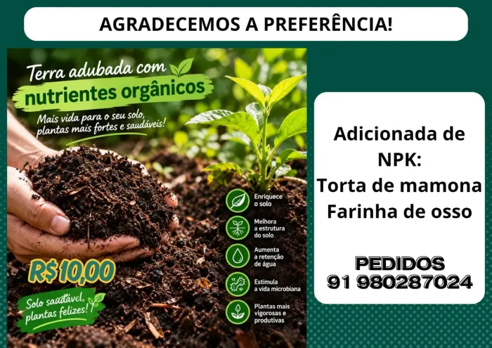 Terra preparada
