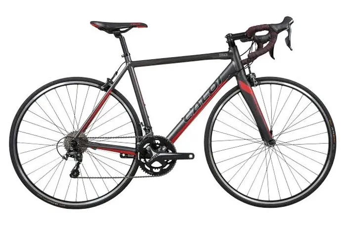 Bicicleta speed