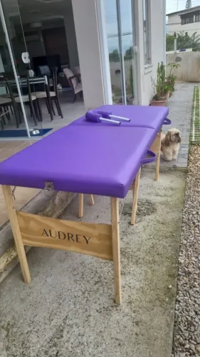 Maca portátil usada - Marca Audrey