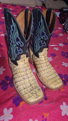 Bota jacomo jacaré.