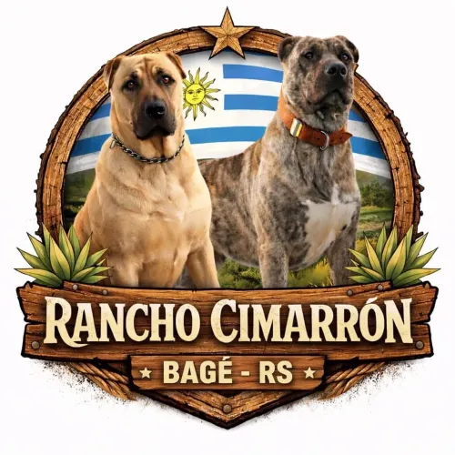 Cimarrón Uruguaio 