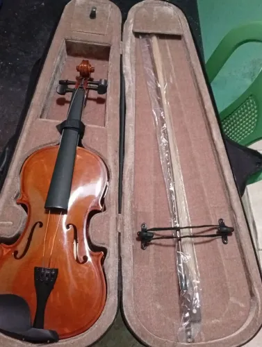Violino