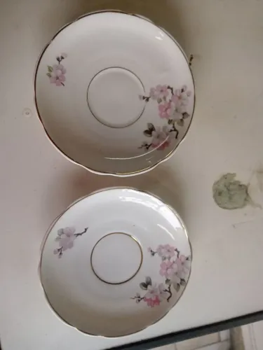 Pratos Porcelana Real 35 cada