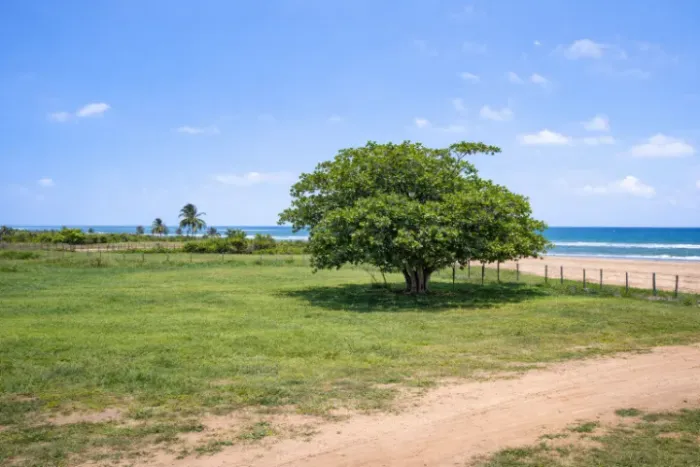 Terreno 1.200 m² na Praia de Capim Açu - R$ 179 mil