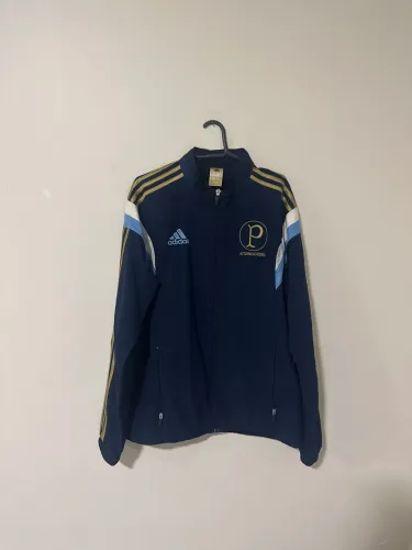 Agasalho do Palmeiras centenário 2014