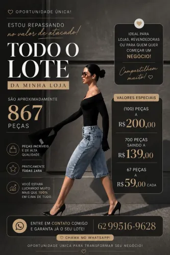 Lote completo da minha loja em valor de atacado são 867 peças