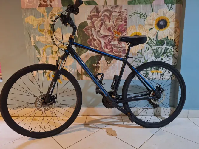 Bicicleta groove