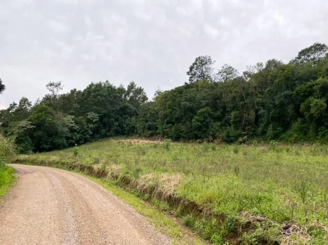 Fazenda/Sítio/Chácara para venda tem 77000 metros quadrados em Vila Olinda - Nova Petrópol