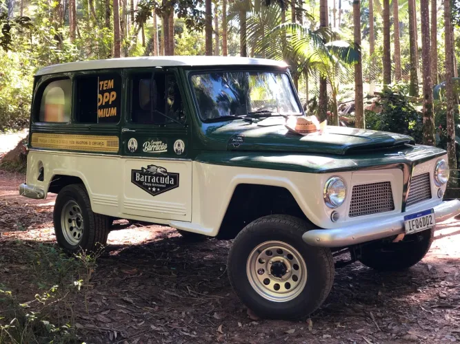 Ford Willys Rural 4X2 1968