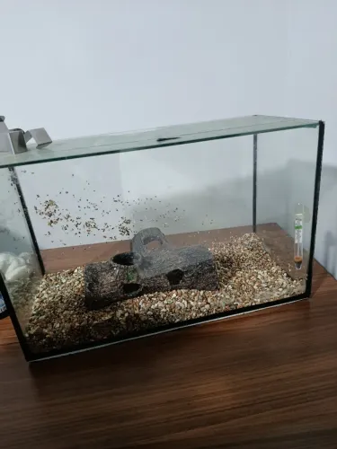 Vendo aquário de 18 litros