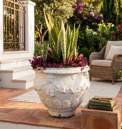 Vaso grande de concreto com plantas (Morumbi)