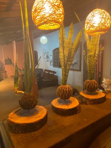 Kokedama + Suporte 30cm