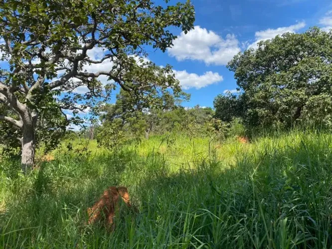 Fazendinha 2 ha, plano, 100% formado em baquearia, todo terra de cultivo,Jaboticatubas