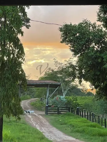 Fazenda à Venda 800 alqueires, Próxima a Maracaja e Novo Repartimento - PA