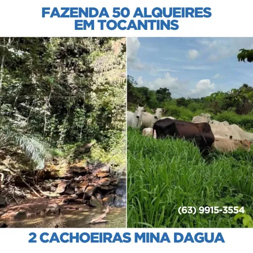 Fazenda, Terra, Lavoura, Platanção, Soja, Cana, Canavial, Cercada, Chacara