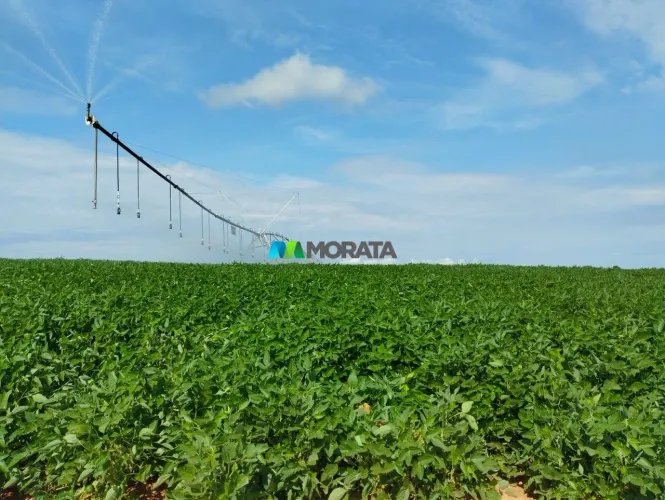 FAZENDA À VENDA - 780 HECTARES - PARACATU (MG)