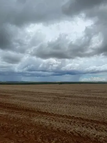 Fazenda em campo novo de Parecis MT. 10.626 hectare R$:1.3 bilhão