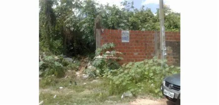 R. MANOEL DOMINGUES - BAIRRO: MATINHA