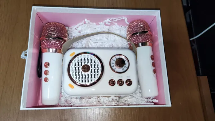 Mini Karaokê retrô com 2 microfone sem fio vintage