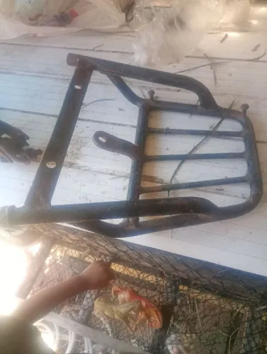 Macaco e garupa de moto