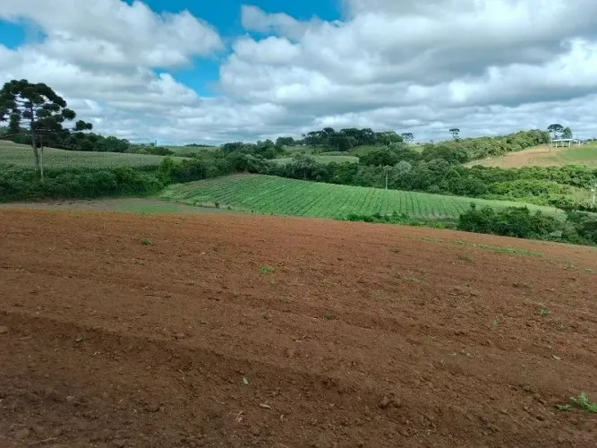 Chacara Colonia Malhada - São José dos Pinhais - PR