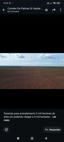 Fazenda arrendamento 2.000 em Pedro Afonso TO. plantando 12 anos 