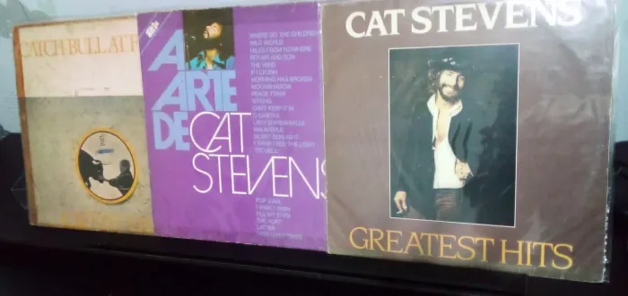 LPs Cat Stevens - Greatest Hits e outros