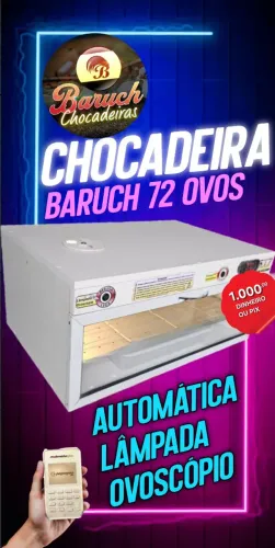 Chocadeira Baruch 72 ovos