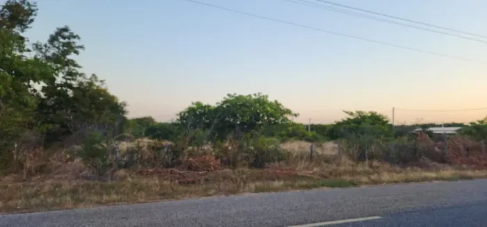 Terreno com 55m de frente x por 900m de fundo - Barra da Sucatinga
