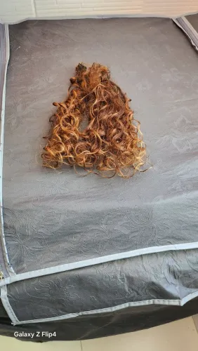 Vendo cabelo cacheados natural humano 
